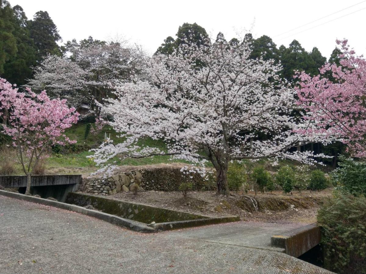 満天の庭 Manten-No-Niwa Kurume Eksteriør bilde